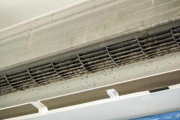 Best Ductwork Cleaning Services  in Holbrook, AZ