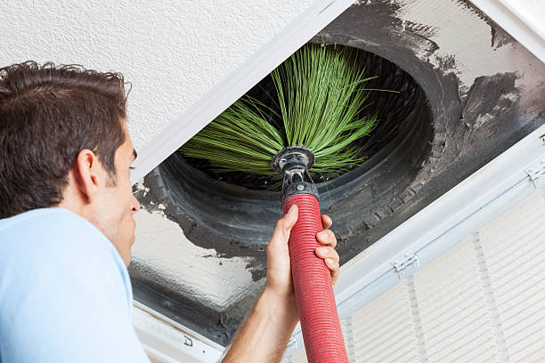 Best HVAC Air Duct Cleaning  in Holbrook, AZ